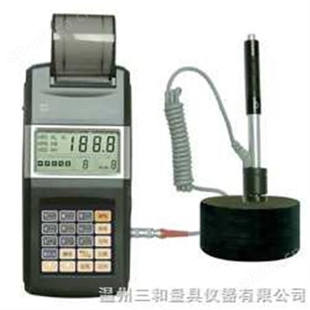 TH110里氏硬度计TH110里氏硬度计