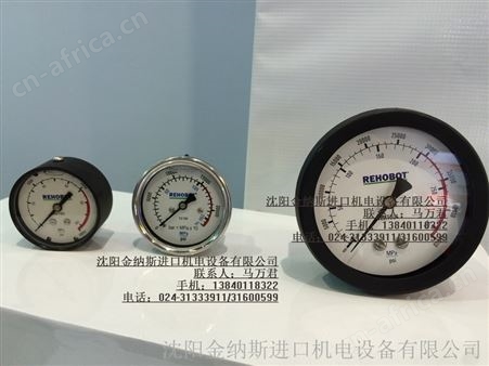 AMP/AMT/AMZ/TX压力表