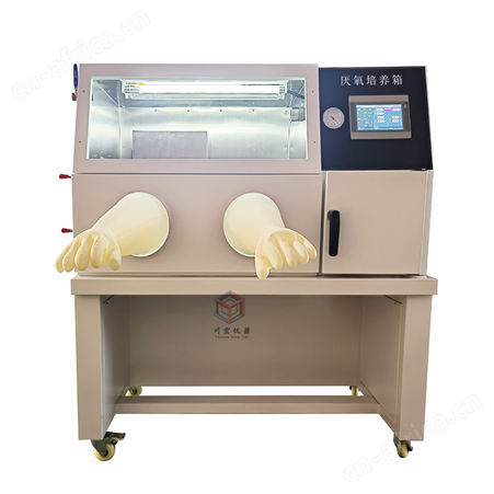 销售厌氧培养箱生产