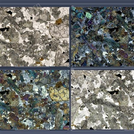 国产偏光显微镜多少钱