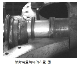 轴封装置端环的布置图