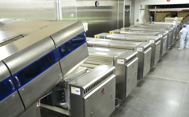 大型挂面机 大型挂面机